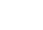 Duimex logo